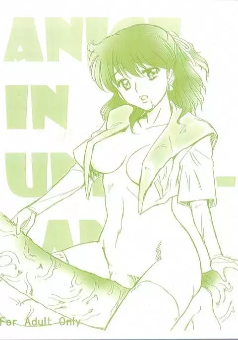 ANICE in Underland