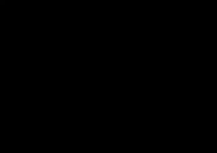 Shin In Nindou "Hakugan Hime VS Tanetsuke Taihō"