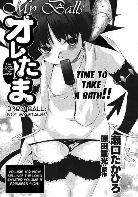 Chapter 23